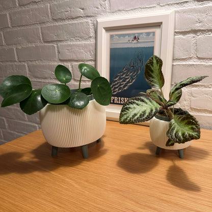 THALOR Retro Lamel plantesæt