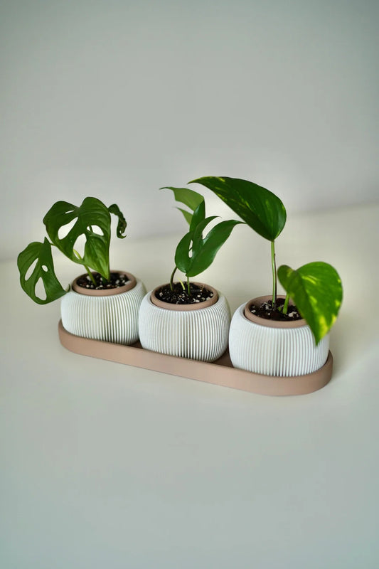 TRIOLAM Mini Baby Retro Planter-trio
