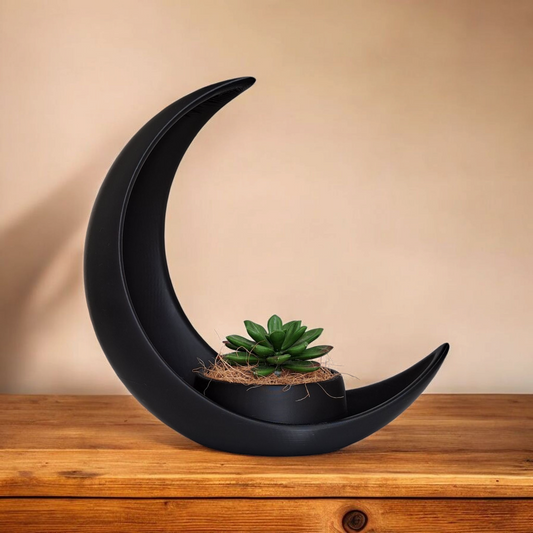 LunaSucculent - Halvmåne med elliptisk plantepotte
