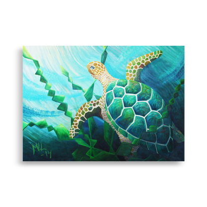 "Havskilpadde" Sea Turtle Poster Print
