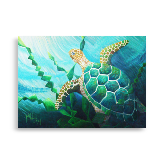 "Havskilpadde" Sea Turtle Poster Print